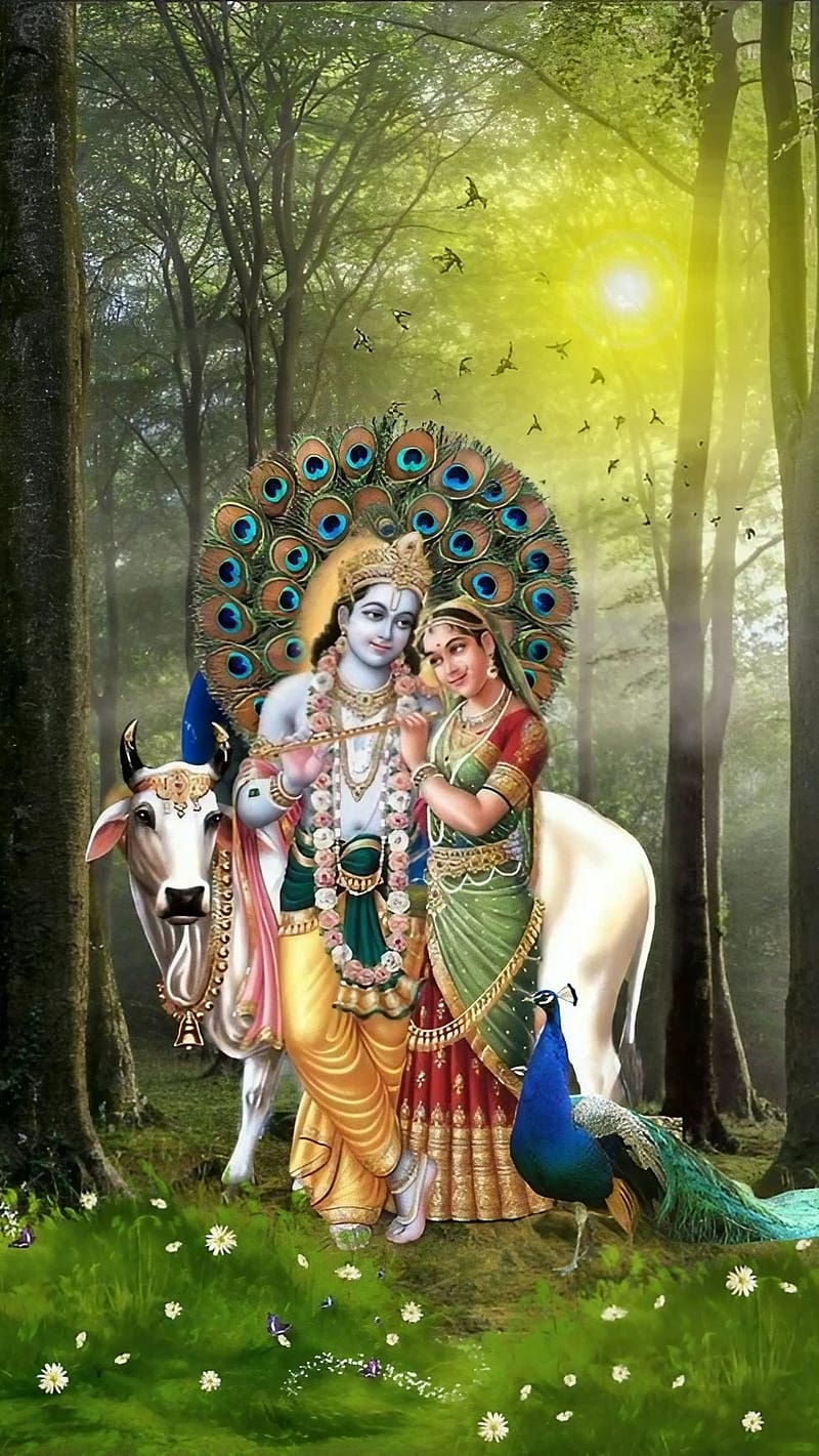 Radha Krishna Ka , Peacock Feather Background, peacock feather, hindu god, bhakti, HD phone wallpaper