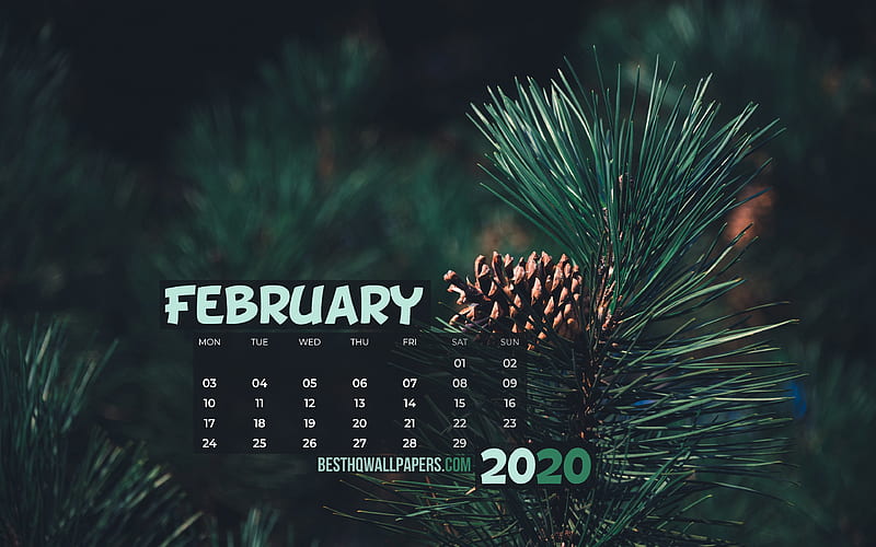 February 2020 Calendar, green fir tree 2020 calendar, February 2020, creative, February 2020 calendar with fir tree, Calendar February 2020, green background, 2020 calendars, HD wallpaper
