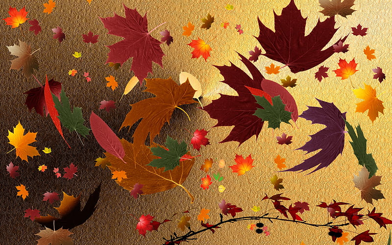 Leaves ~ Fall ~, fall, autumn, leaves, flowers pattern, abstract, HD  wallpaper | Peakpx