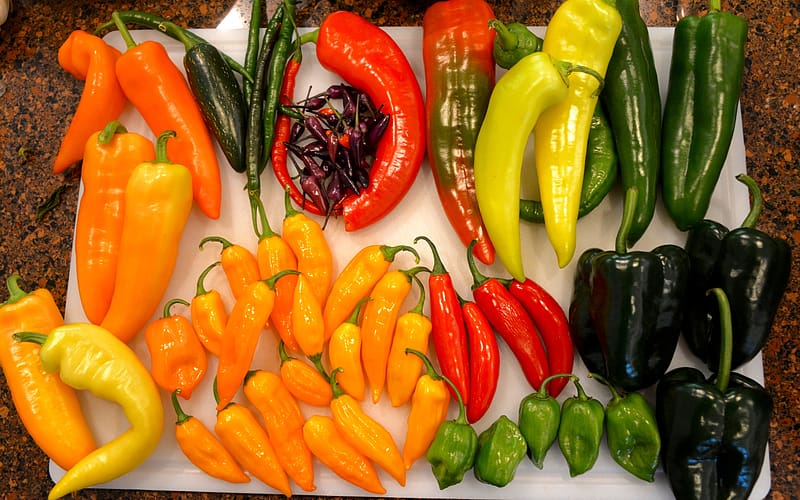 Peppers, still life, vegetable, food, HD wallpaper