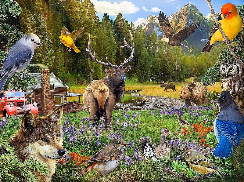 Idyllic Mountain Cabin, bear, birds, cabin, wolf, animals, deer, owl, trees, artwork, car, digital, HD wallpaper