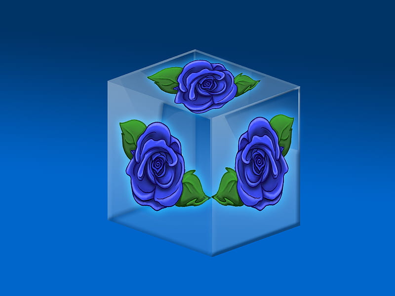 Blue Rose, glass, cube, rose, blue, HD wallpaper