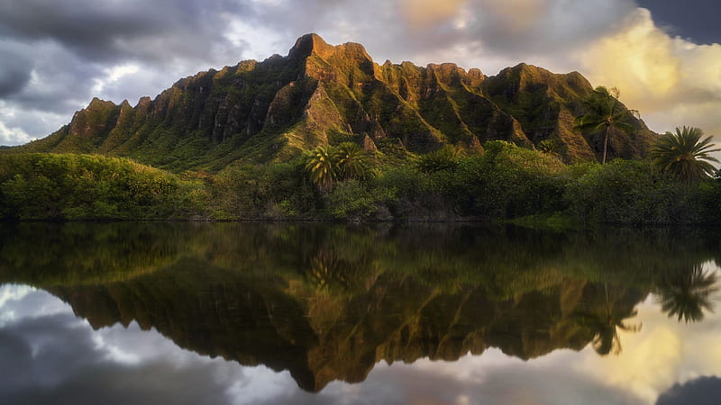 Sunrise on the Ko’olua Mountain Range, Oahu, Hawaii, reflections, palm trees, plants, rocks, water, usa, HD wallpaper