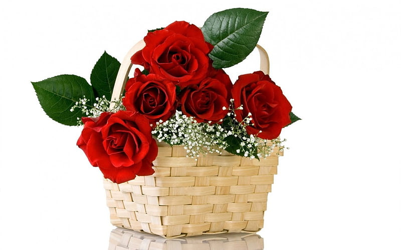 To My Friend Barb, red, friend, roses, basket, HD wallpaper | Peakpx