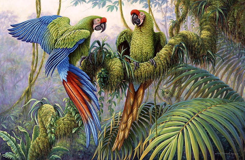 Military Macaws, birds, parrots, paint, green, HD wallpaper