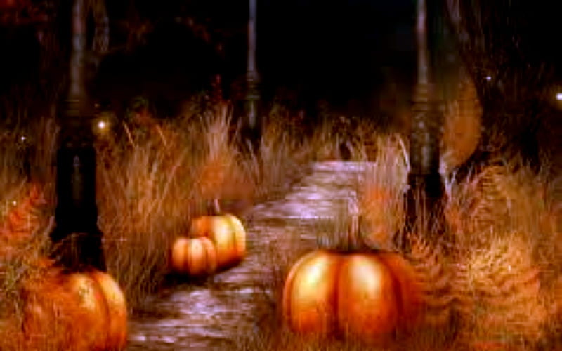 Dried Autumn Grass With Pumpkins, Trees, Autumn, Pumpkins, Grass, HD wallpaper