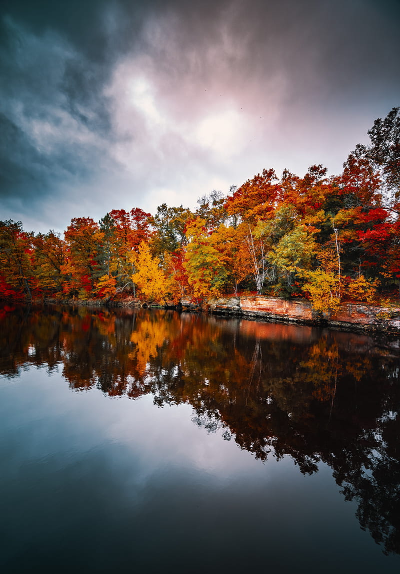 trees, autumn, lake, reflection, autumn colors, HD phone wallpaper