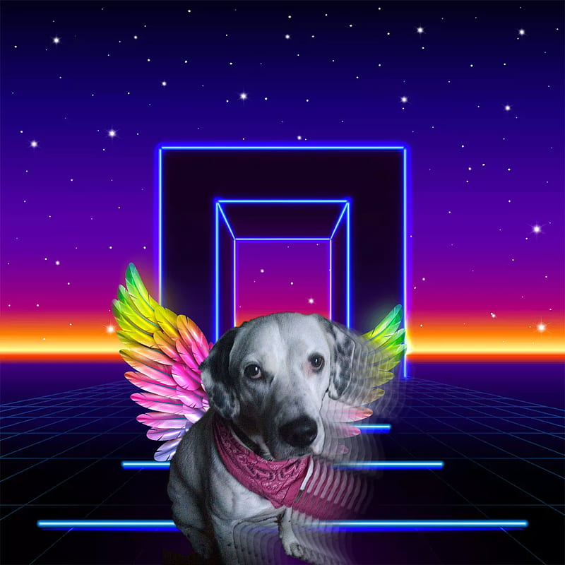 Doggo (Bones), doge, cool, epic, inspiration, cute, dog, fun, HD phone  wallpaper | Peakpx