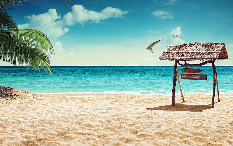 tropical island, beach, summer vacation, pales, palms, sea, summer, sun, HD wallpaper