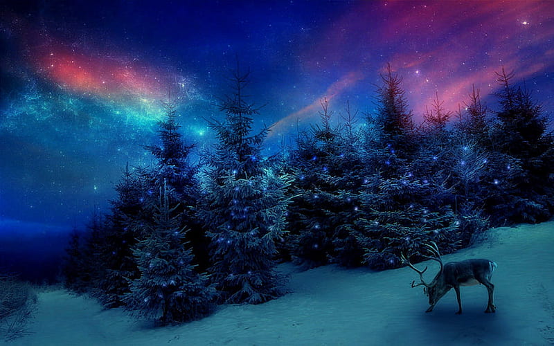 \'Christmas Forest\', holidays, attractions in dreams, digital art, seasons, deer, greetings, sparkle, manipulation, landscapes, forests, scenery, blue, christmas, love four seasons, creative pre-made, sky, christmas trees, winter, cool, snow, best of the best, nature, HD wallpaper