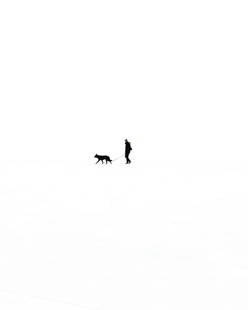 person walking with dog against black background, HD phone wallpaper