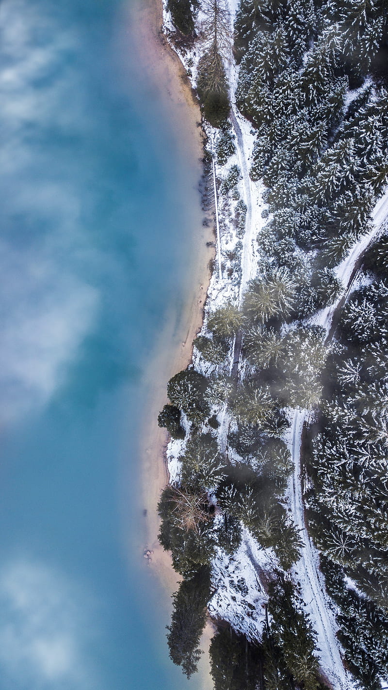 forest, trees, aerial view, ice, snow, winter, fog, HD phone wallpaper