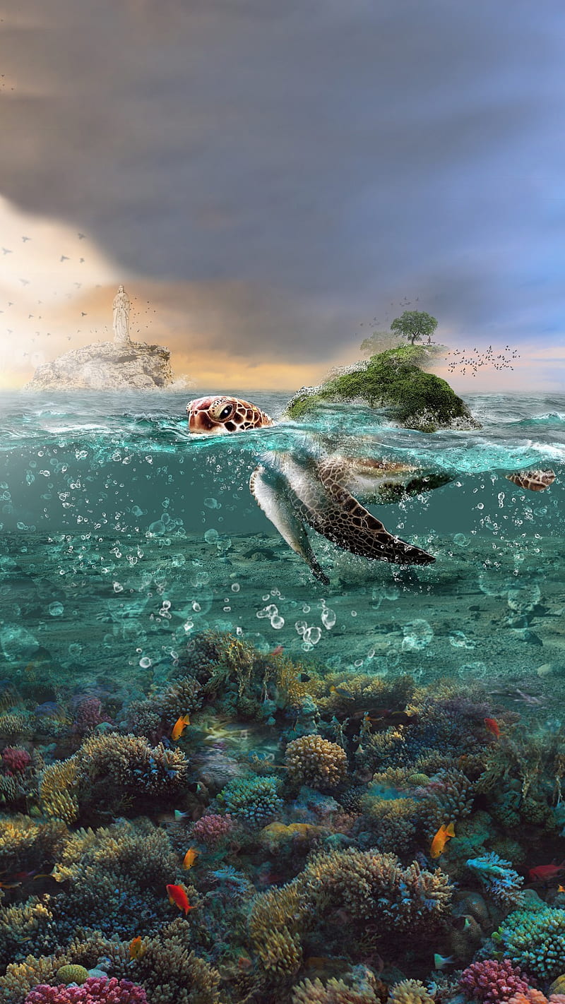 Fantasy world, island, sea, turtle, underwater world, water, HD phone  wallpaper | Peakpx