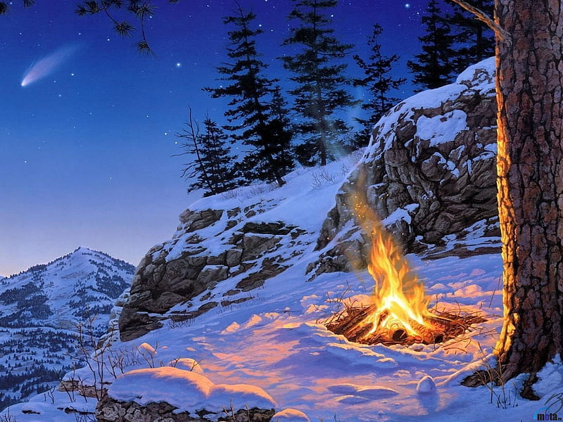 Bonfire Night in the Winter Forest, forest, fire, stars, moutain, snow, nature, trees, winter, HD wallpaper