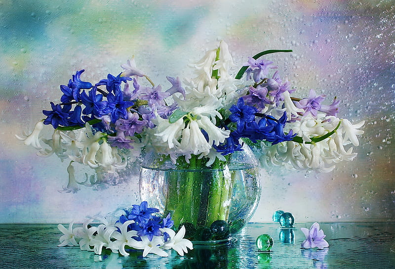 Hyacinths, hyacinth, vase, spring, still life, glass, ball, flower, white, pink, blue, HD wallpaper