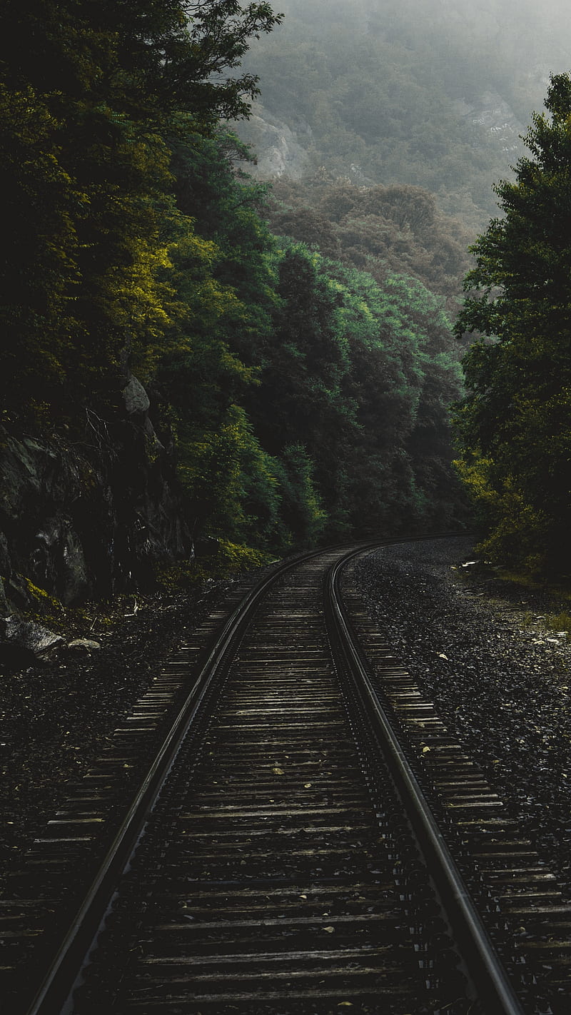 railroad, forest, railway, tracks, train, travel, trees, HD phone wallpaper