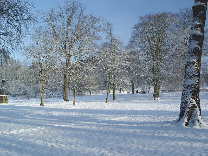 Park in the Snow, bare, snow, benches, seats, trees, winter, cold, HD wallpaper