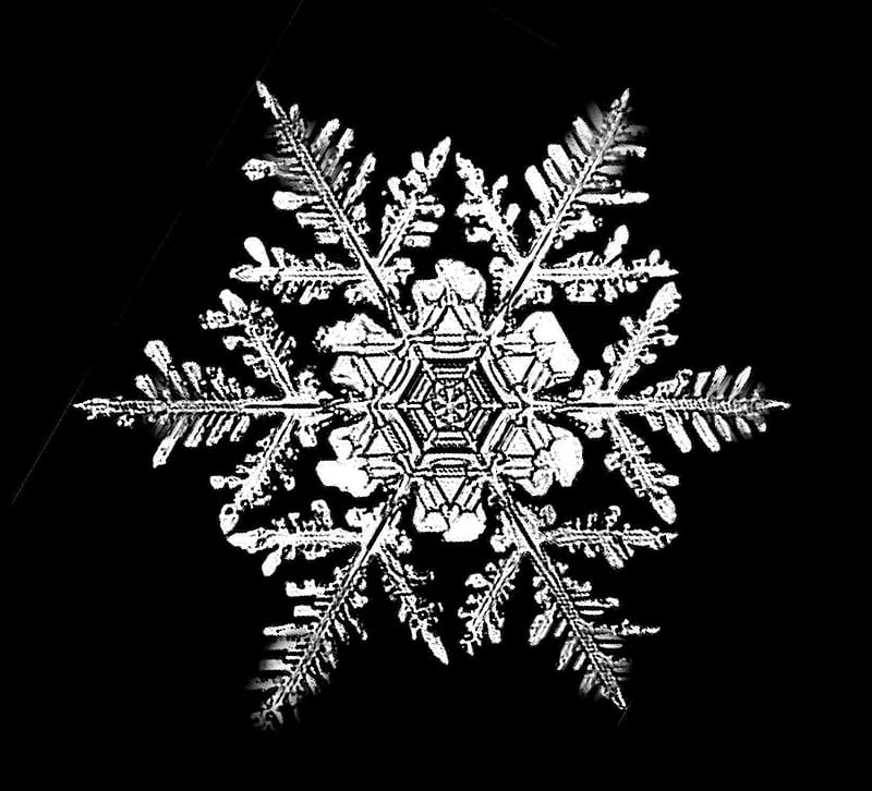 the star of david in the snow, HD wallpaper