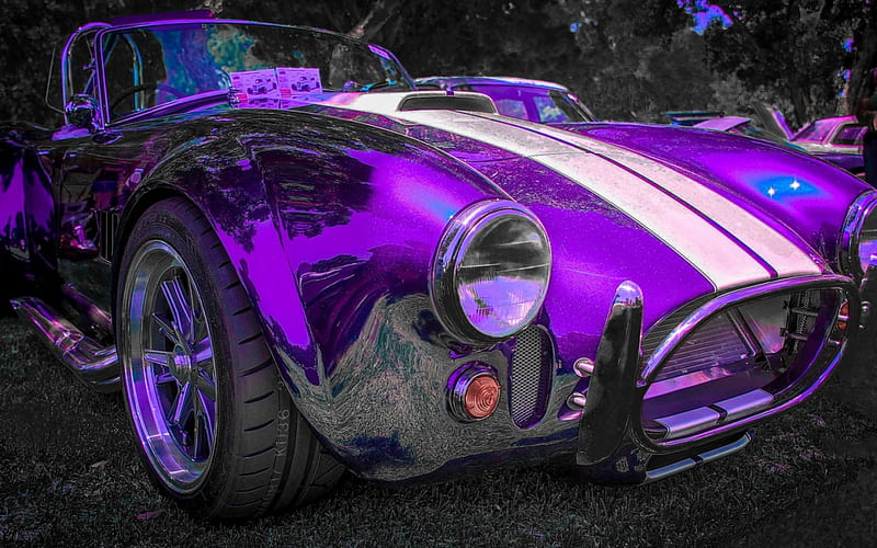 In purple, purple, car, shelby, 427, cobra, pink, HD wallpaper