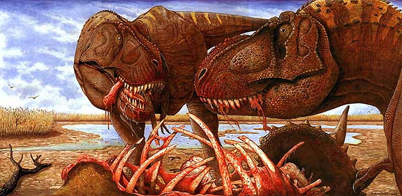 Tyrannosaurus rex, 1, tyrannosaurus, 2, rex, HD wallpaper
