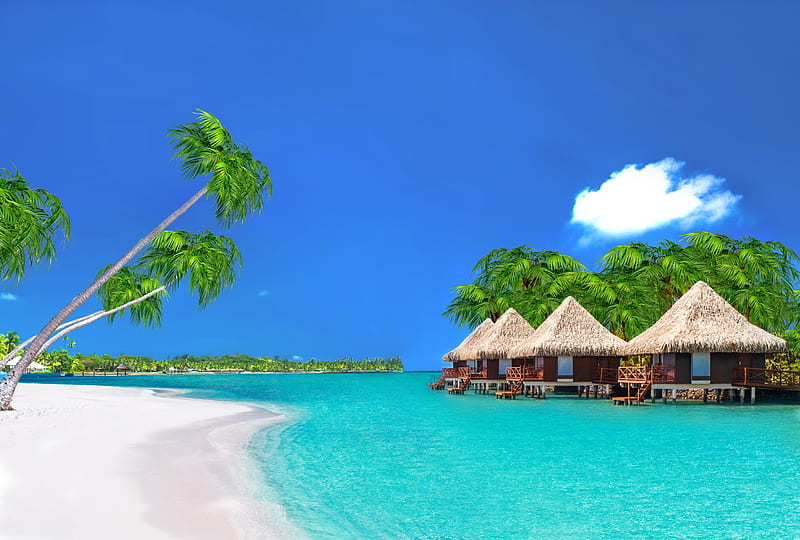 Bora Bora, island, sea, rest, vacation, exotic, ocean, bonito, palms ...
