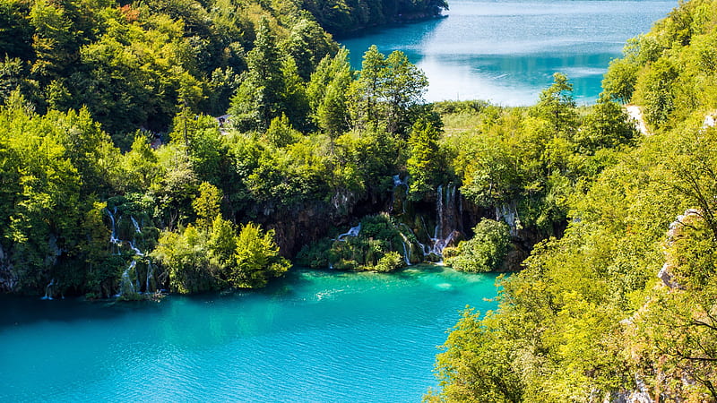 Plitvice Lakes, waterfall forest, lakes, Croatia, Europe, HD wallpaper