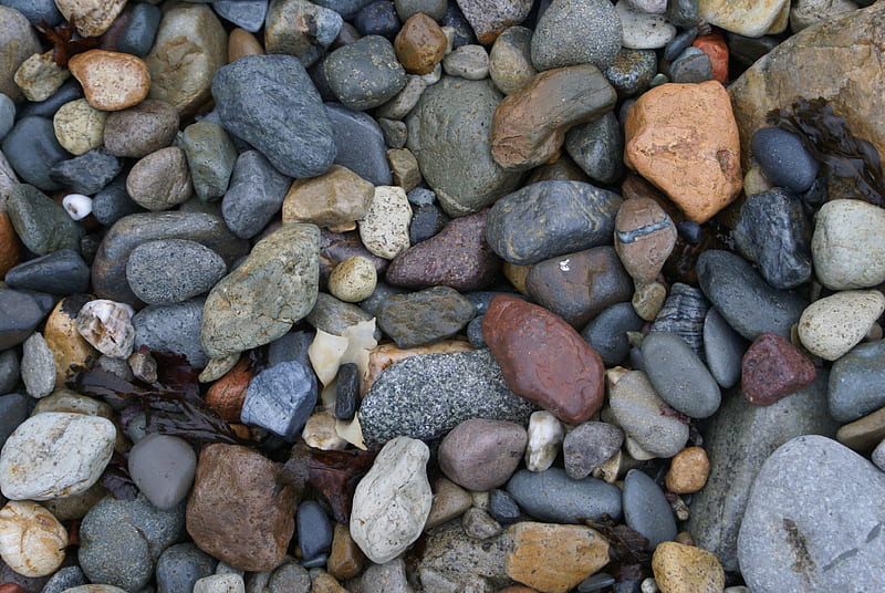 Pebbles, beach, wet, stone, shingle, sea, HD wallpaper
