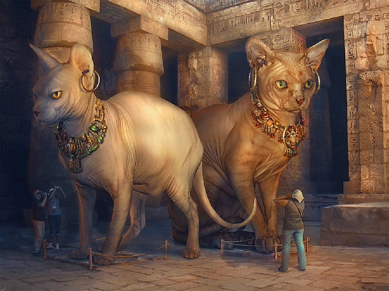 https://w0.peakpx.com/wallpaper/157/328/HD-wallpaper-basted-and-sekhmet-pretty-art-amazing-beautiful-ancient-egypt-fantasy-people-digital-cats.jpg