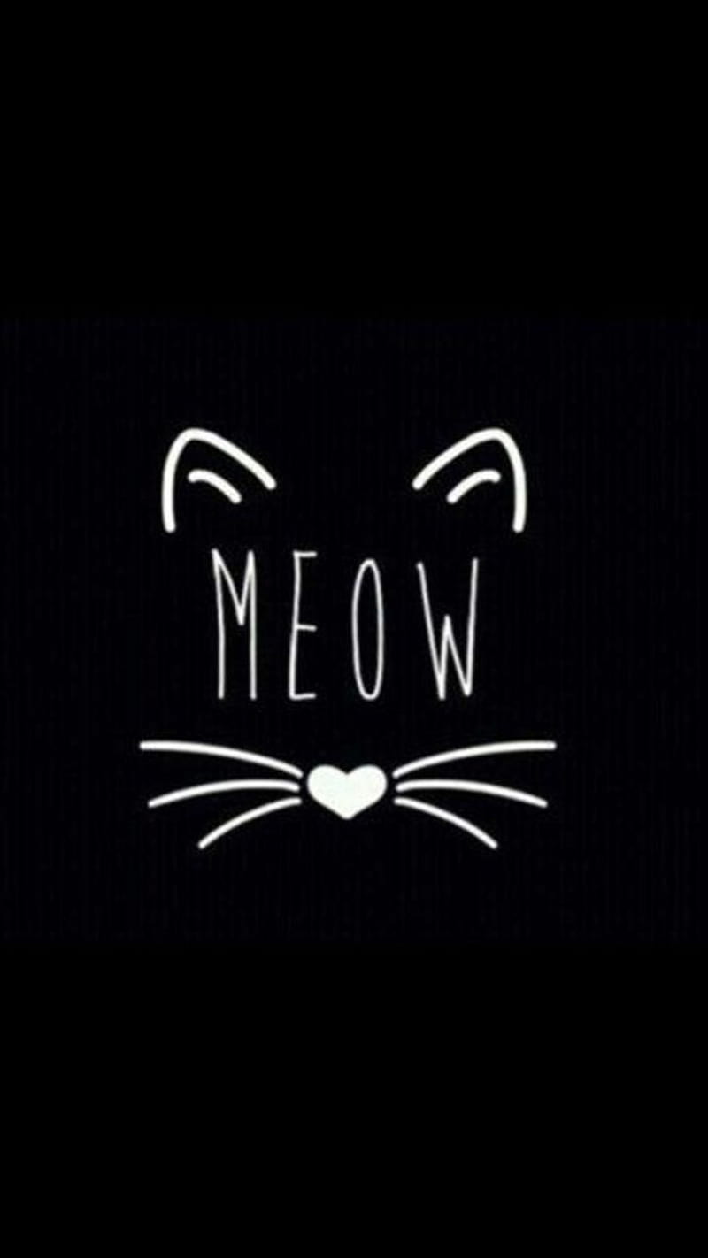 Meow, cat, cute, simple, HD phone wallpaper