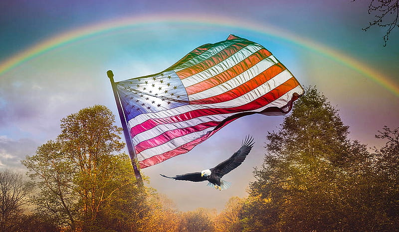 Sweet Land Of Liberty, liberty, Trees, USA, eagle, rainbow, dom, flag, outdoors, 4th of July, HD wallpaper