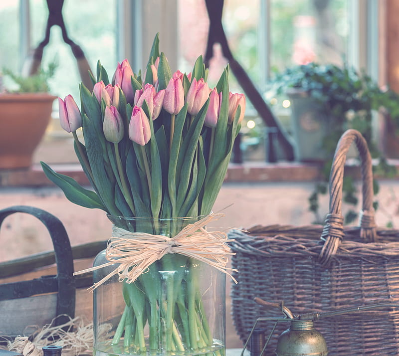 tulips, bouquet, vase, HD wallpaper