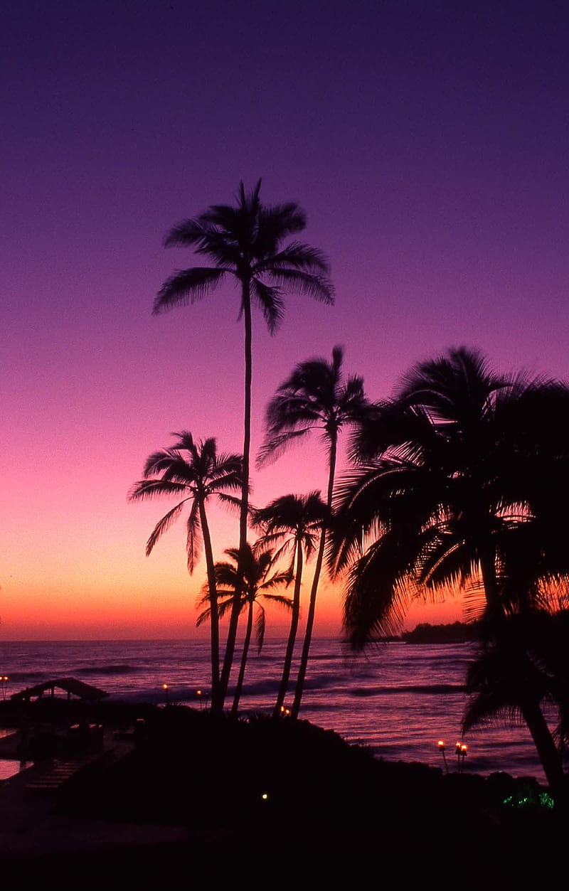Beach sunset, beach, cool, ocean, nature, sunset, fun, HD wallpaper | Peakpx