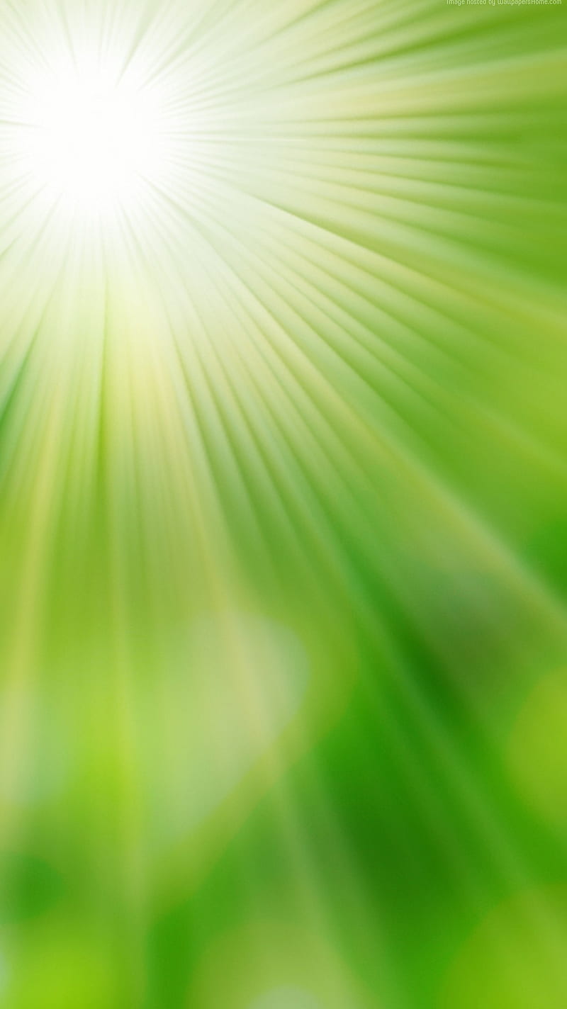 SUN Rays, green, shine, HD phone wallpaper | Peakpx