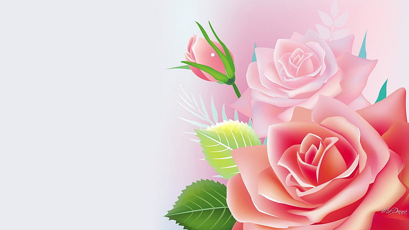 Fantastic Pink Roses, fragrant, soft, spring, roses, subtle, summer, flowers, pink, shiny, HD wallpaper