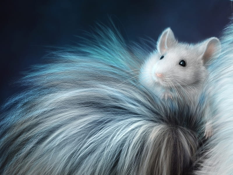 The mouse, luminos, mouse, tail, soricel, cat, blue, animal, alenaekaterinburg, fantasy, white, HD wallpaper