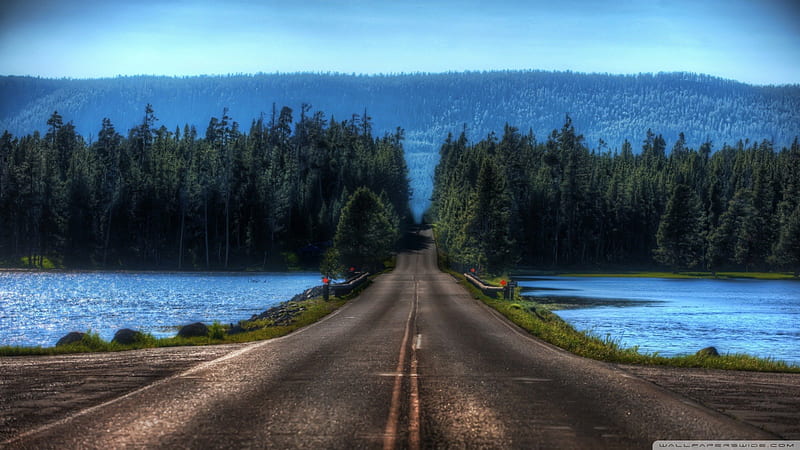 Yellowstone Montana, yellowstone national park, yellowstone, long road, montana, scenic road, beautiful road, HD wallpaper