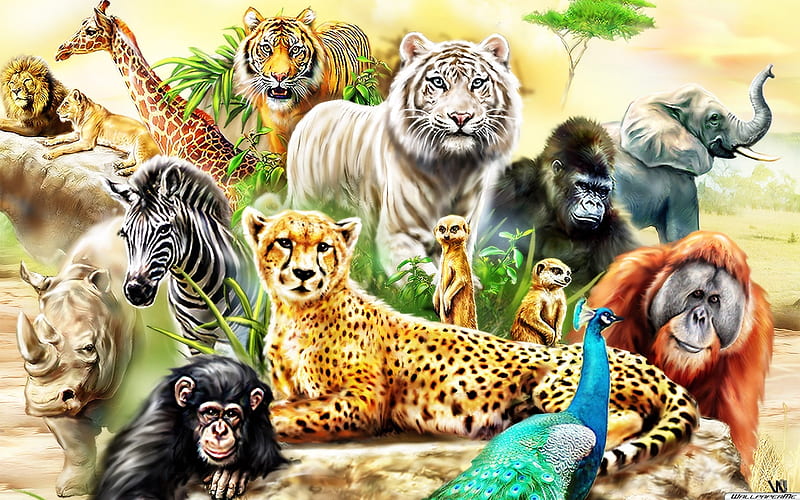 Wild Wild Animals, big, wild, monkeys, cat, animals, HD wallpaper | Peakpx