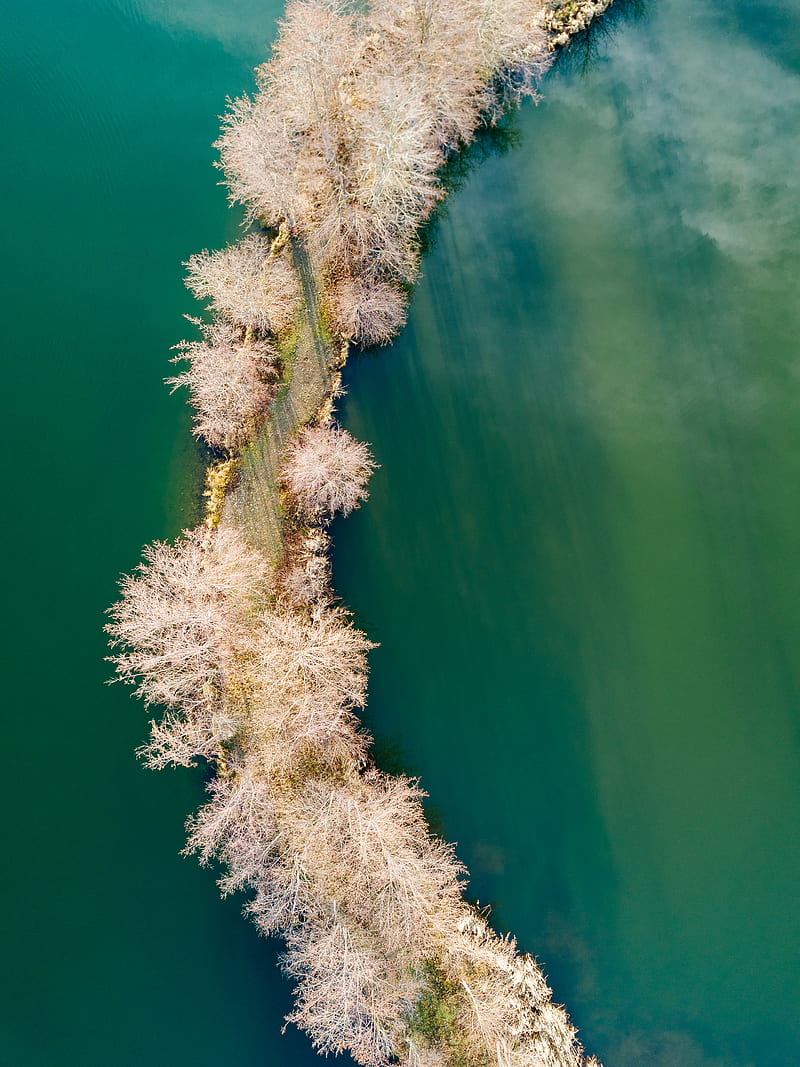 aerial graphy of road surrounded by trees and body of water, HD phone wallpaper