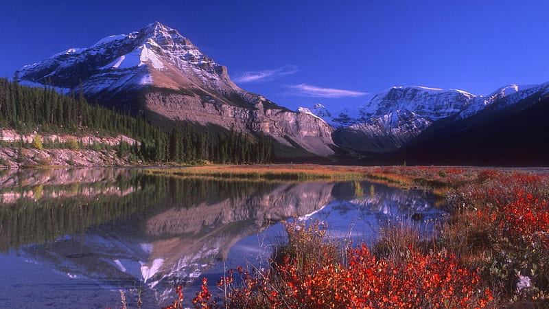 Mountain Vista, Jasper National Park, autumn, Canada, reflection, lake, firs, landscape, HD wallpaper