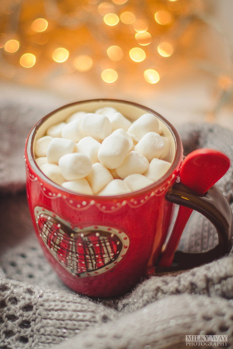 Winter cocoa, cozy, marshmallow, HD phone wallpaper | Peakpx