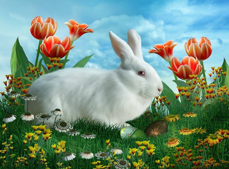 Easter bunny, rabbit, grass, holiday, easter, adorable, sky, freshness, sweet, cute, flowers, bunny, HD wallpaper