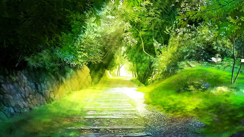 Green Forest, pretty, scenic, divine, plant, bonito, magic, sublime, sweet, nice, green, jungle, beauty, scenery, realistic, road, ray, gorgeous, forest, lovely, sunlight, tree, magical, awesome, nature, scene, HD wallpaper