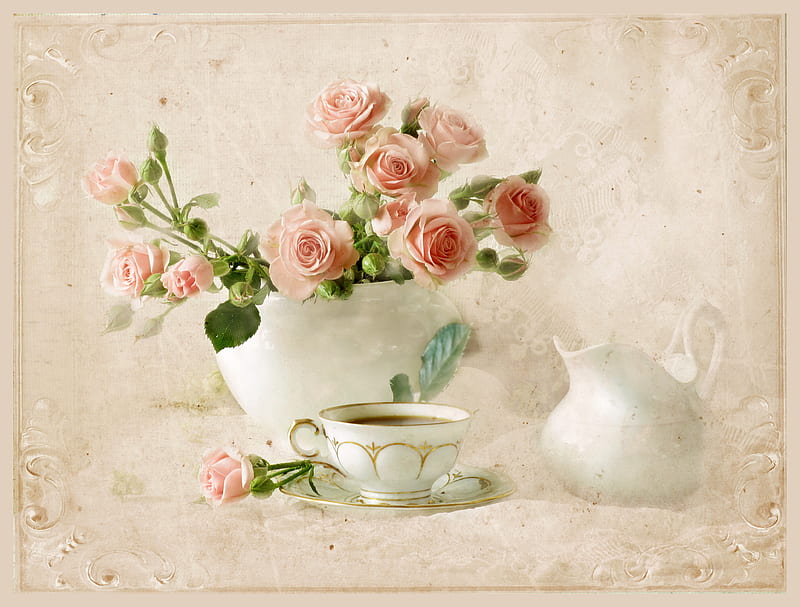 Still life, rose, vase, bonito, graphy, nice, gentle, jug, flowers, drink, pink, harmony, soft, roses, elegantly, cool, bouquet, coffee, cup, flower, white, HD wallpaper