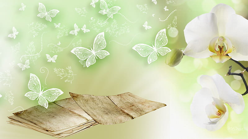 Music of the Orchids, exotic, green, orchid, firefox persona, sheet music, butterflies, delicate, HD wallpaper