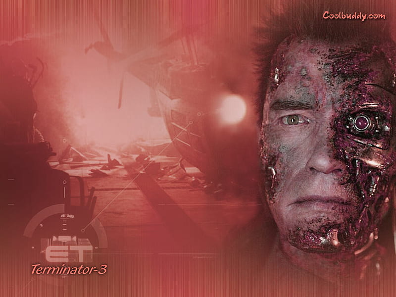 Terminator 3 Rebellion der Maschinen, sci fi, arnold schwarzenegger, the terminator, robot, HD wallpaper