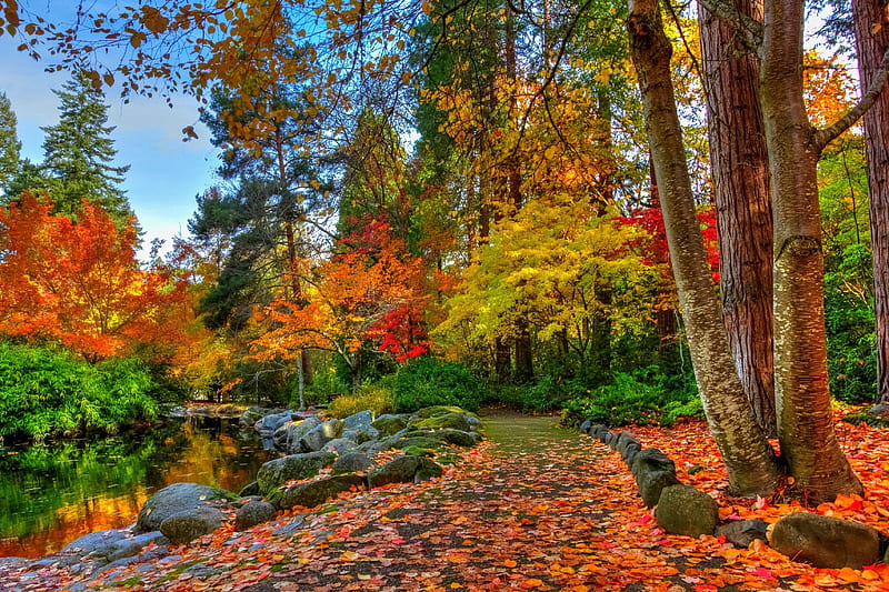 Colors of Fall, path, river, leaves, trees, HD wallpaper