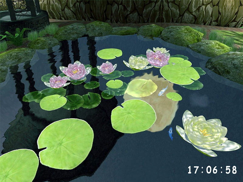 ಌ.Splendor of Chinese Pond #3.ಌ, rocks, pretty, lotus, wonderful, bonito, adorable, sweet, arts, leaves, stones, splendor, bridge, love, flowers, reflection, magnificent, artworks, splendor of chinese pond, amazing, lovely, transparent, torch, lilies, shadow, pond, cute, gorgerous, splendidly, nature, chinese, HD wallpaper