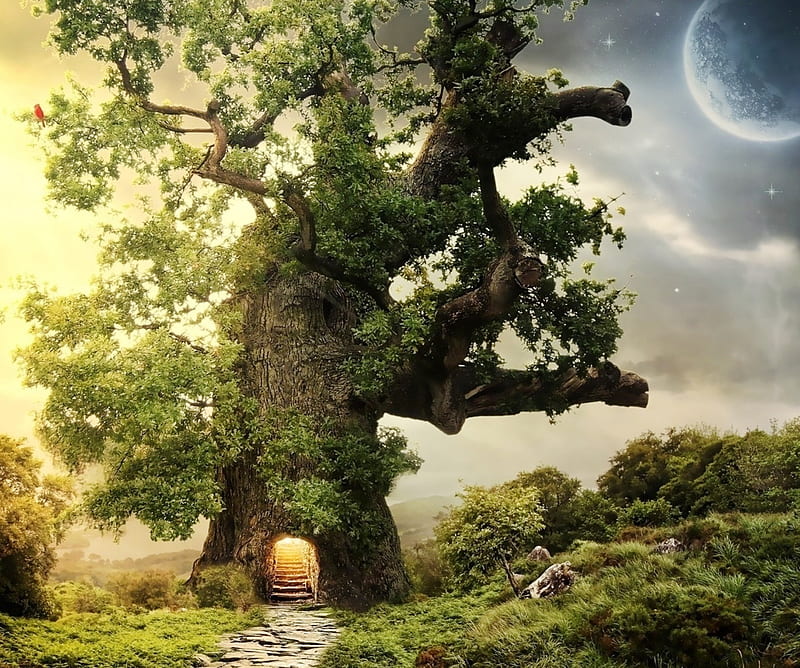 Oak Tree, dream, fantasy, house, moon, nature, road, stair, HD wallpaper