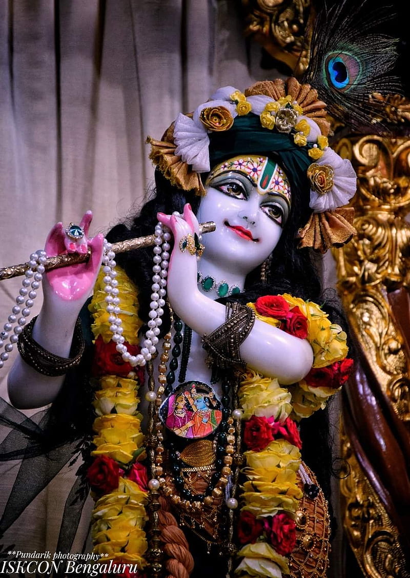 Krishna, radhakrishnan, hare krishna, india, radharani, HD phone ...