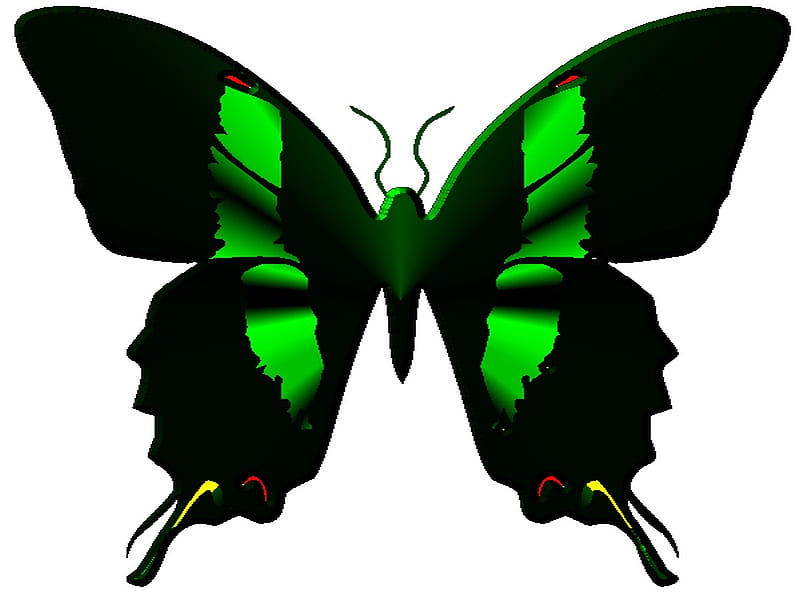 Pcologist's butterfly 07, pleasing, butterfly, designg, decorative, HD wallpaper